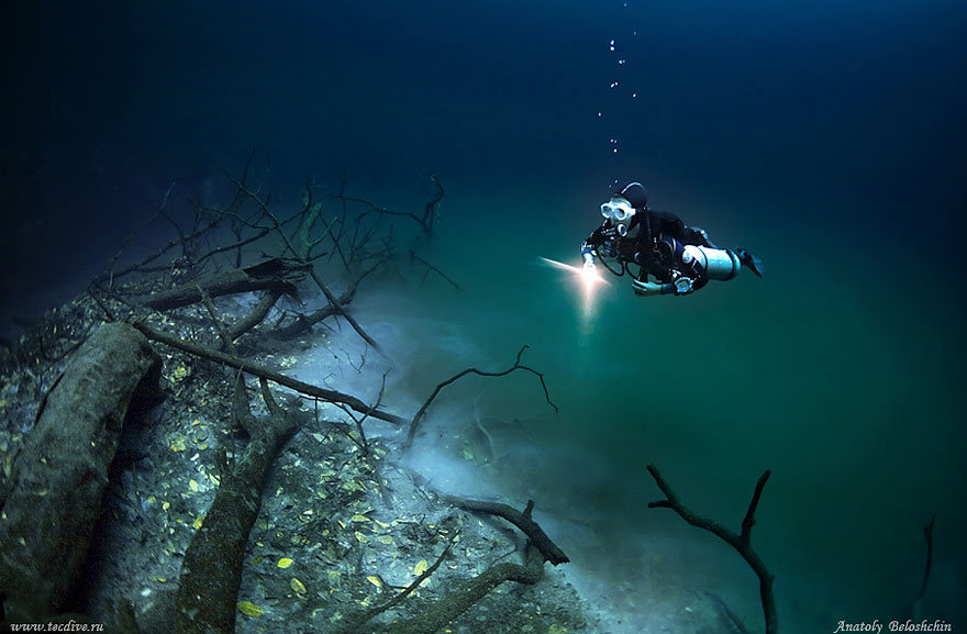 Hidden Underwater River Flowing Under the Ocean in Mexico