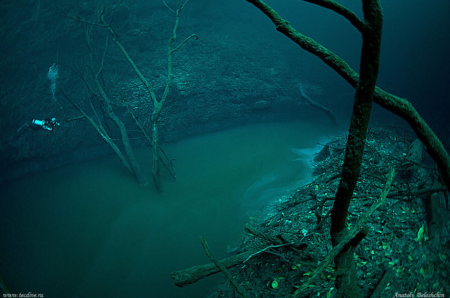 Hidden Underwater River Flowing Under the Ocean in Mexico