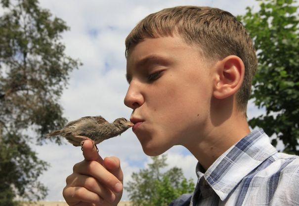 An Unusual Friendship Between A Sparrow And A 12-Year-Old Boy An Unusual Friendship Between A Sparrow And A 12-Year-Old Boy