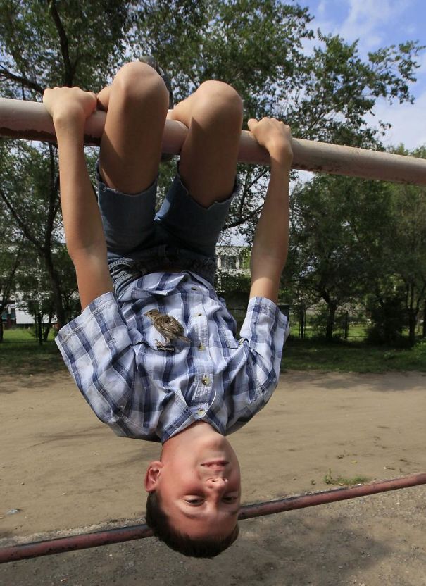 An Unusual Friendship Between A Sparrow And A 12-Year-Old Boy An Unusual Friendship Between A Sparrow And A 12-Year-Old Boy