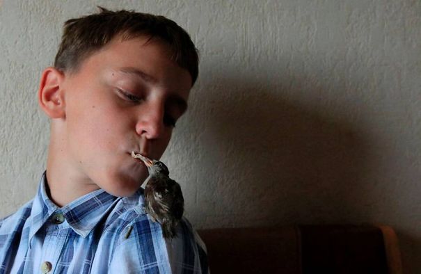 An Unusual Friendship Between A Sparrow And A 12-Year-Old Boy