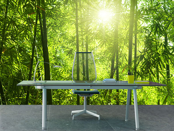 25 Wall Murals To Make Your Room Come Alive