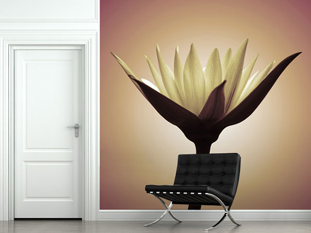 25 Wall Murals To Make Your Room Come Alive 25 Wall Murals To Make Your Room Come Alive