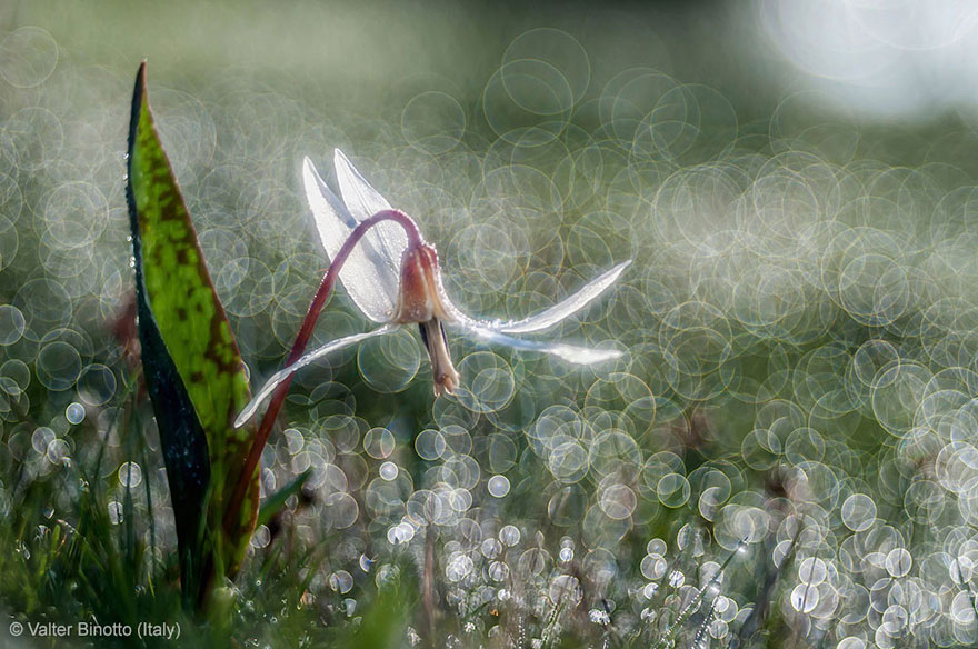 15 Award-Winning Photos From The Wildlife Photographer of the Year 2013 15 Award-Winning Photos From The Wildlife Photographer of the Year 2013