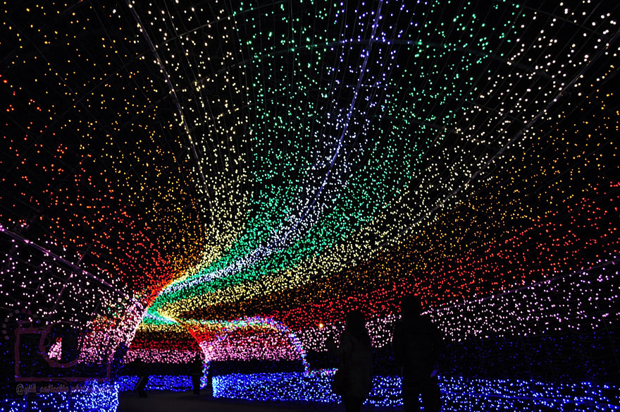 Tunnel of Lights Made of Millions of LEDs in Japan Tunnel of Lights Made of Millions of LEDs in Japan