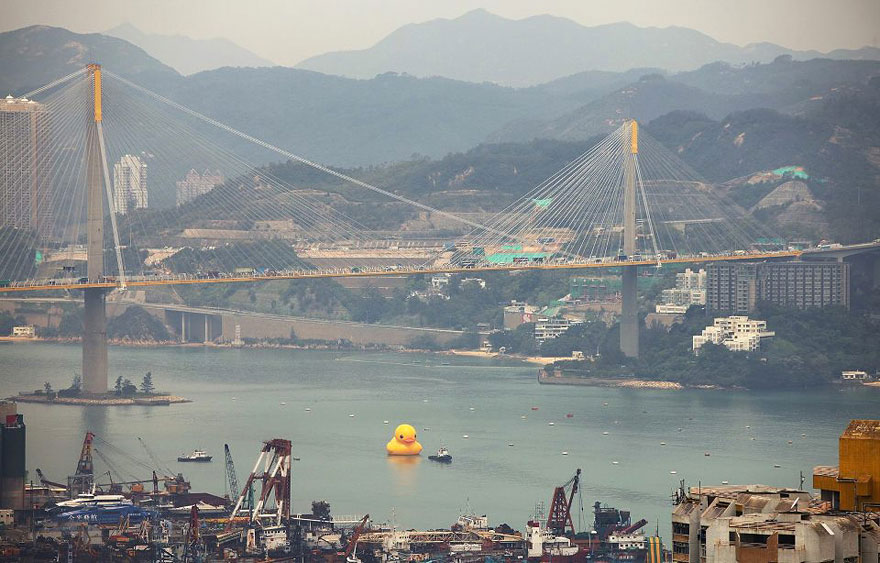 World's Largest Rubber Duck Comes to Hong Kong
