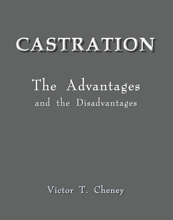 30 Worst Book Covers and Titles 30 Worst Book Covers and Titles