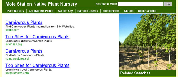 Mole Station nursery website with unintentionally inappropriate domain name listed under search results for carnivorous plants. Mole Station nursery website with unintentionally inappropriate domain name listed under search results for carnivorous plants.
