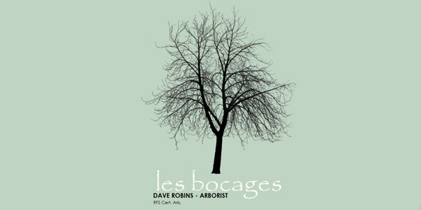 Tree logo for Dave Robins, arborist, with unintentionally inappropriate domain names theme. Tree logo for Dave Robins, arborist, with unintentionally inappropriate domain names theme.
